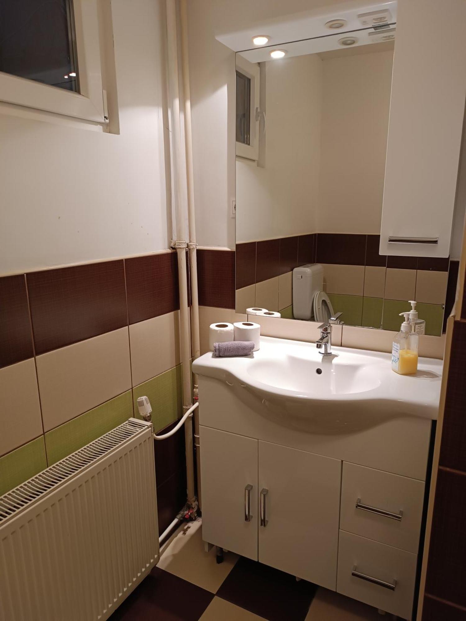 Downtown Apartments Budapest Rum bild