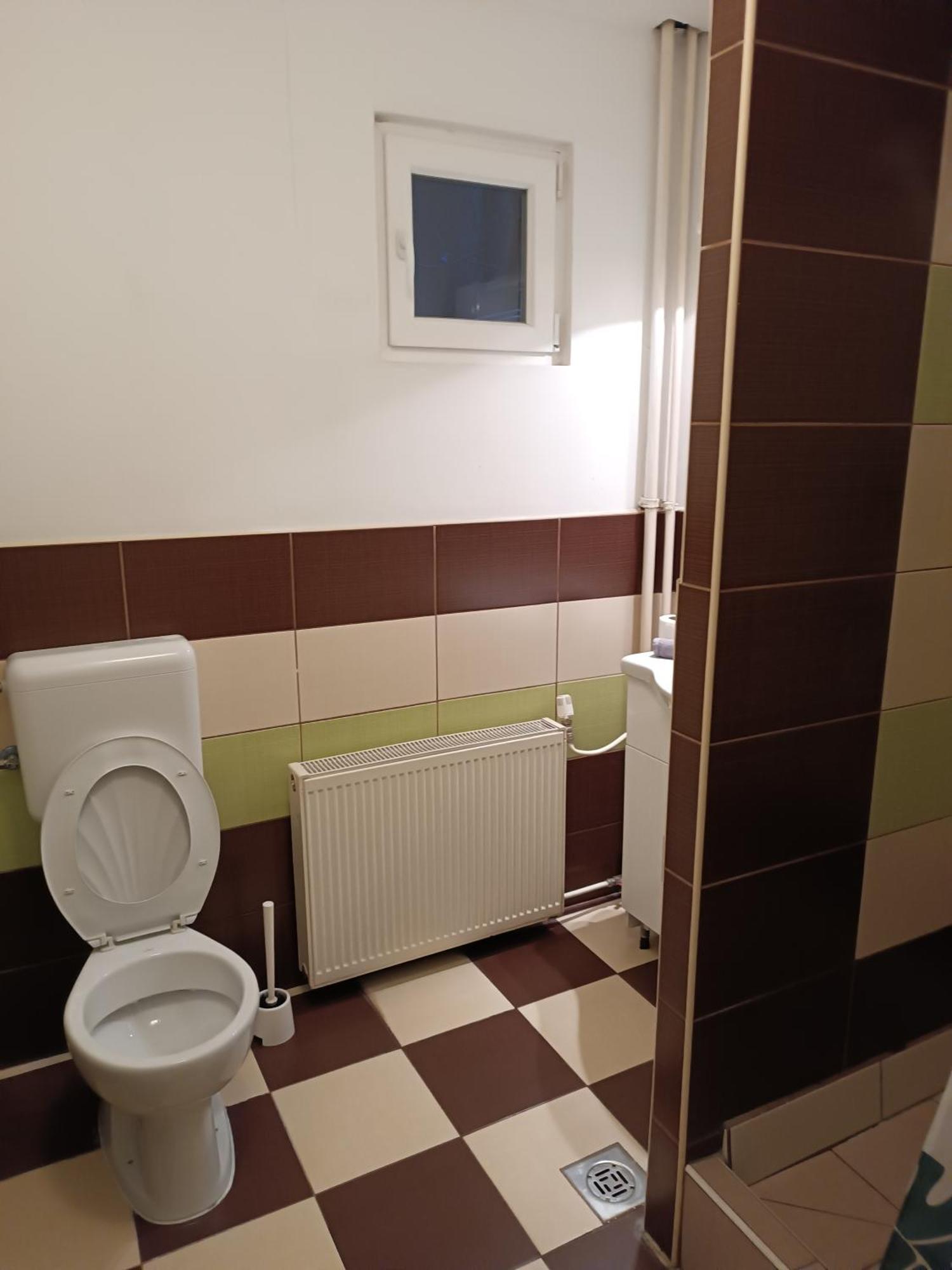 Downtown Apartments Budapest Rum bild